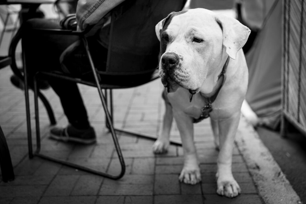 Marietta Downtown 27