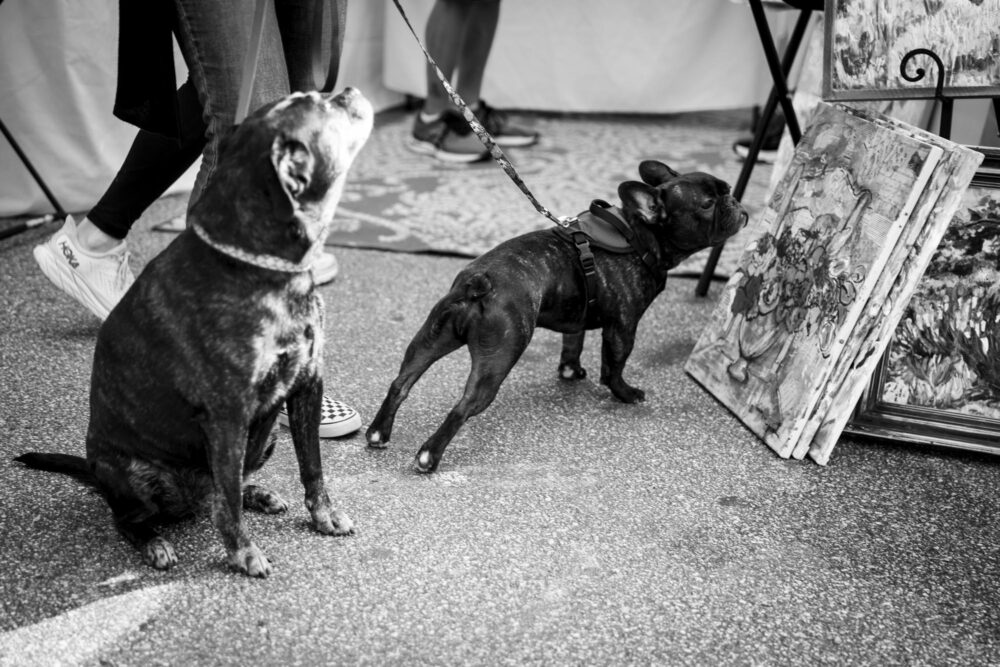 Marietta Downtown 54