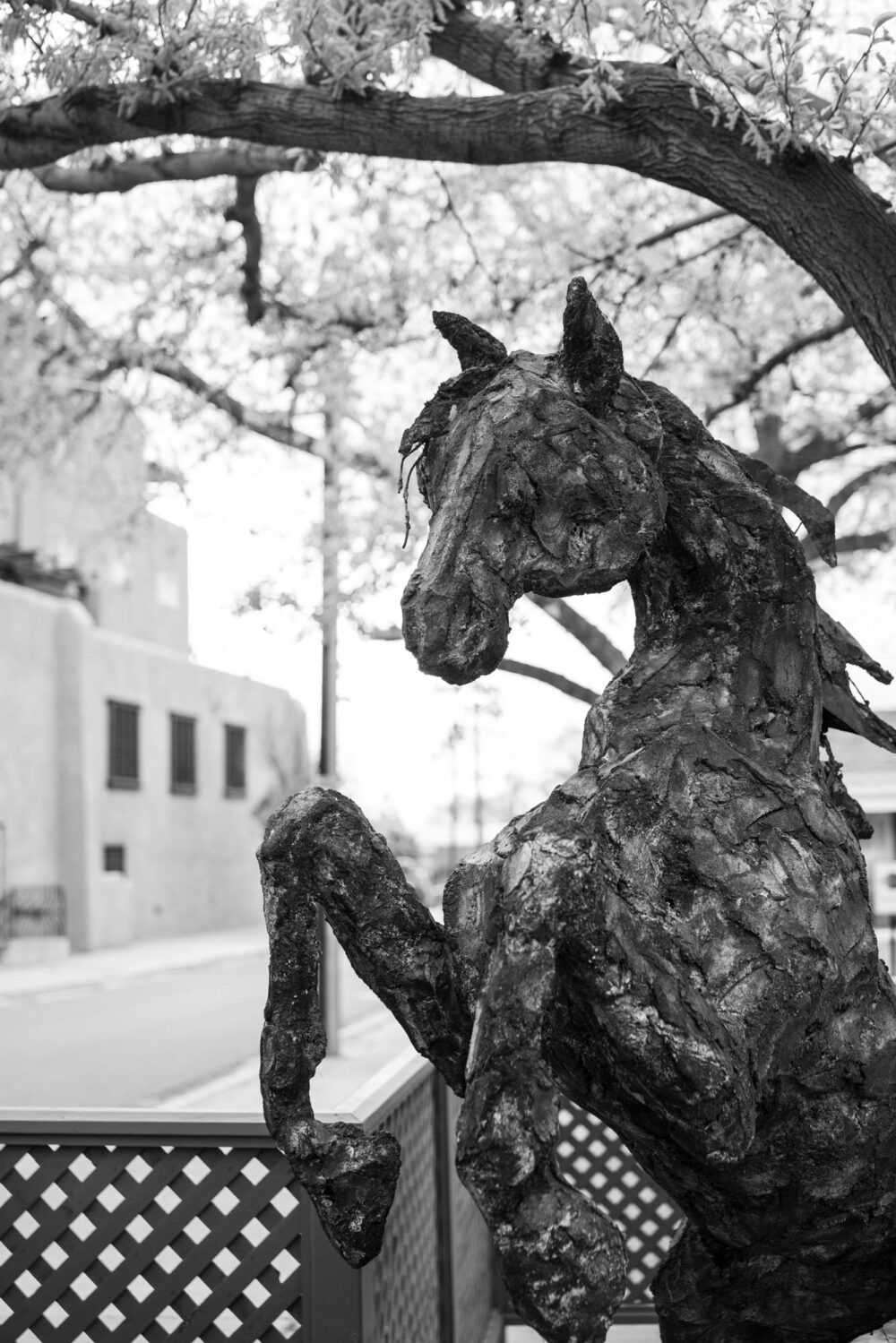 SantaFe Sun PM Walk 014