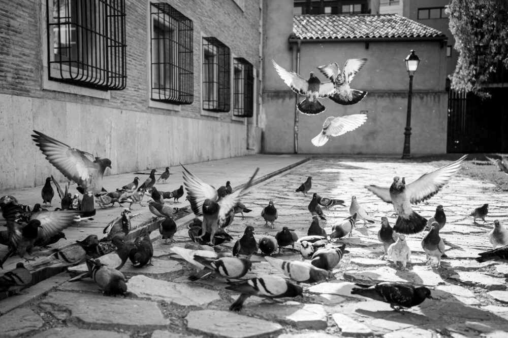 Valencia Street 051723 001