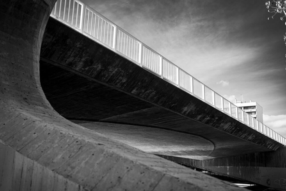 Valencia Street 112322 022