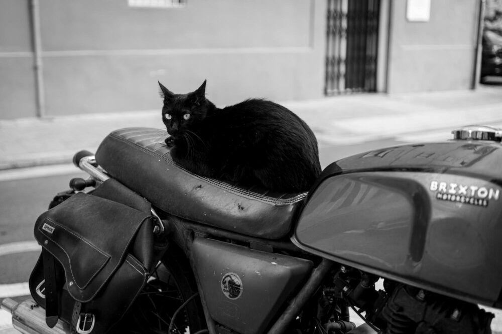 Valencia Street 112422 032