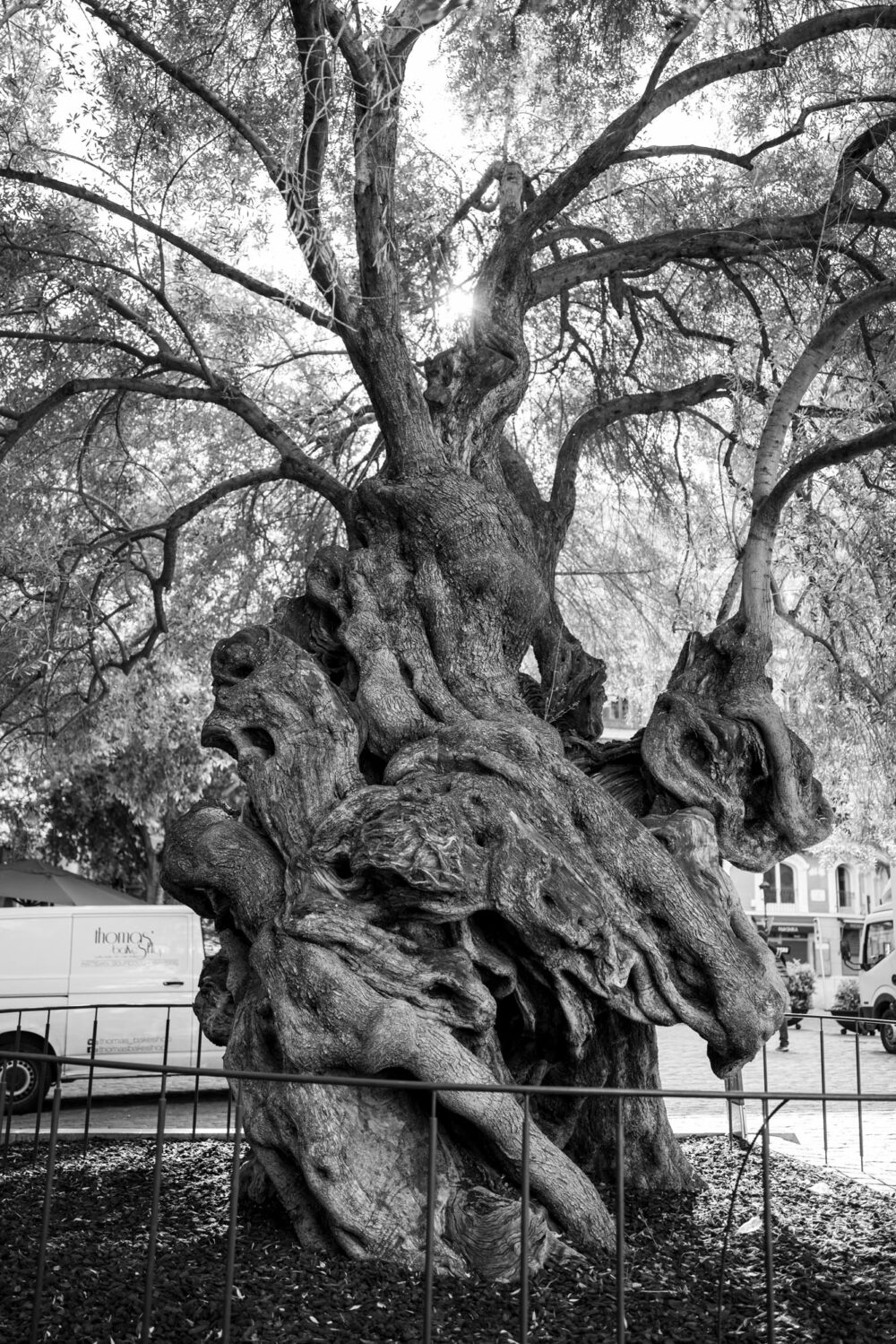 mallorca street 04272023 024