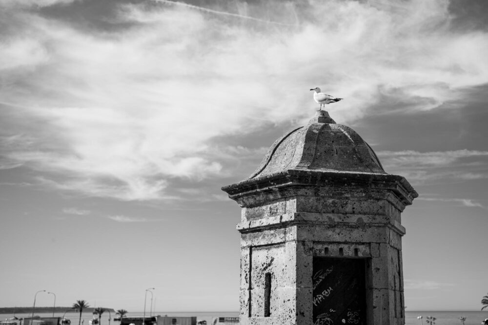 mallorca street 04272023 031