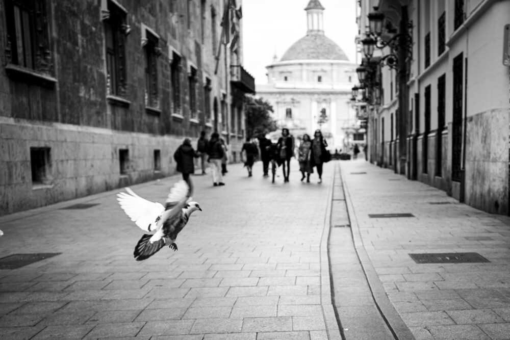 valencia street 011524 004